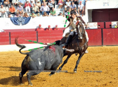 SOBRAL DE MONTE AGRAÇO 9 ,SETEMBRO 2012      TOIROS de SÃO TORCATO LUIS ROUXINOL  -  JOÃO TELLES JR  -  SALGUEIRO DA COSTA FORCADOS de LISBOA   e  CORUCHE  